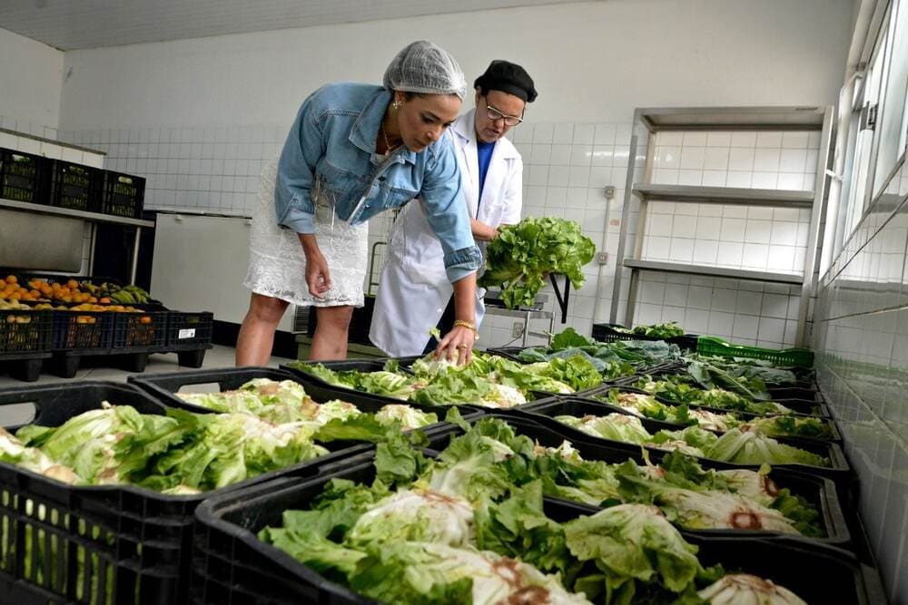 Governo federal corta 97% de verbas para assistência alimentar