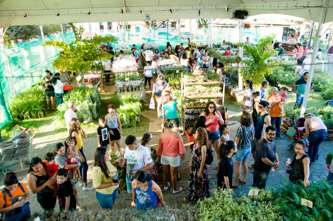 “Feira de Holambra” volta a Manaus após dois anos da pandemia