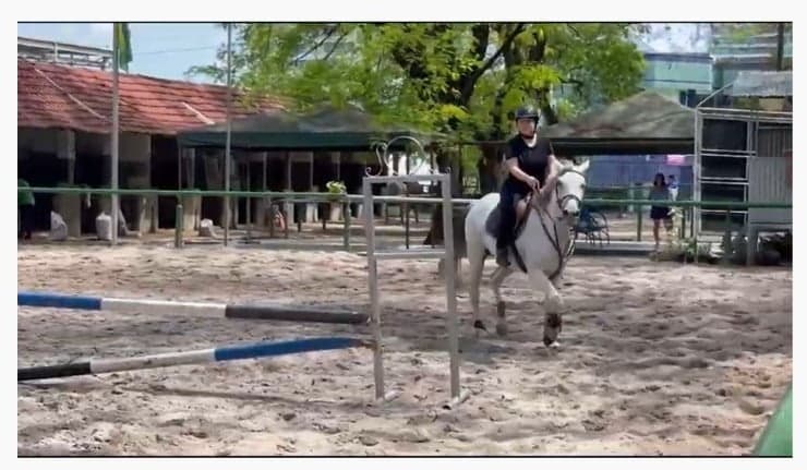 Conheça os benefícios da Equoterapia