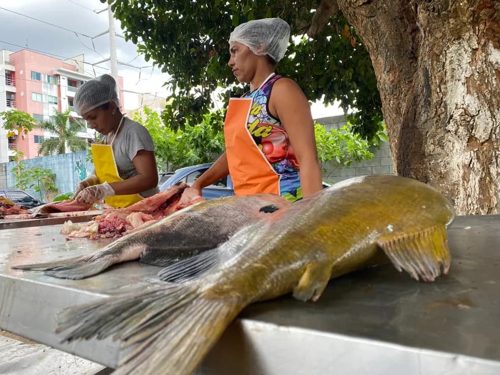 Feira do Tambaqui é realizada nesta sexta-feira e sábado