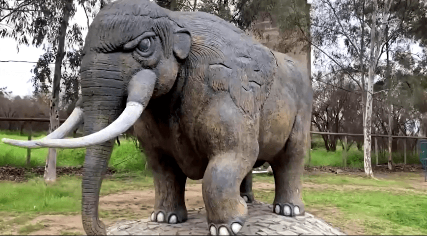 Restos de elefante de 12 mil anos são encontrados no Chile