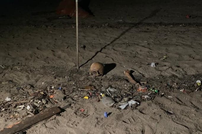 Após ossada, polícia encontra crânio humano na Ponta Negra