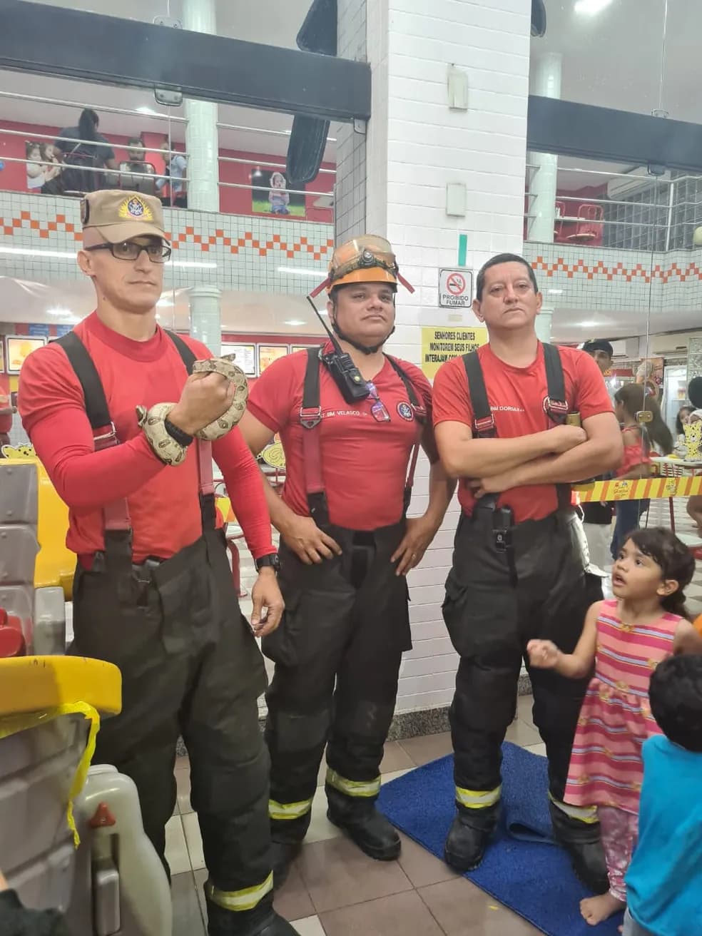 VÍDEO: Corpo de Bombeiros captura filhote de cobra em sorveteria
