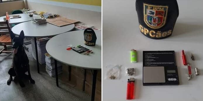 Drogas são encontradas por cadela policial durante revista em escola de Tabatinga