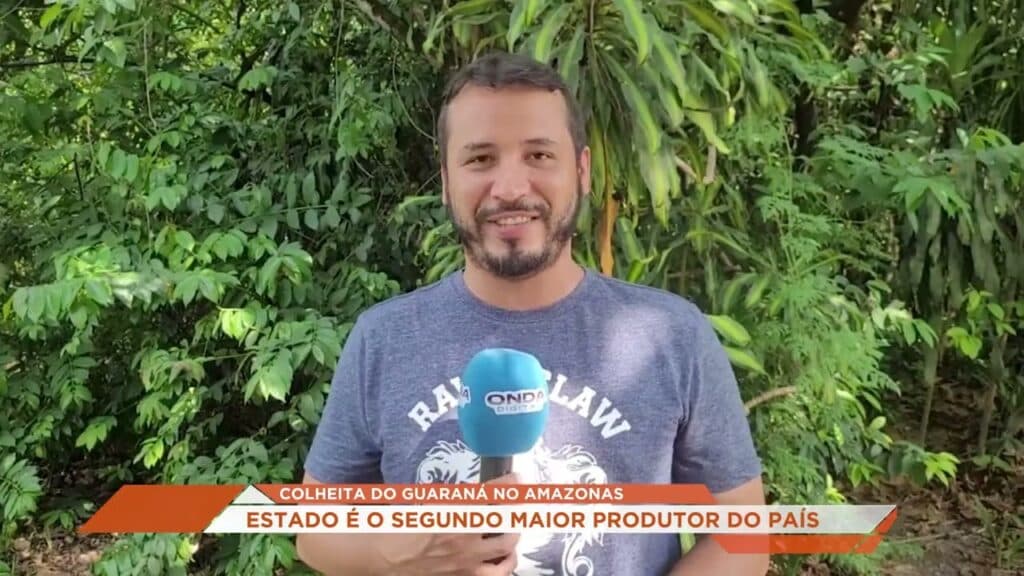 Colheita do guaraná no Amazonas tem início