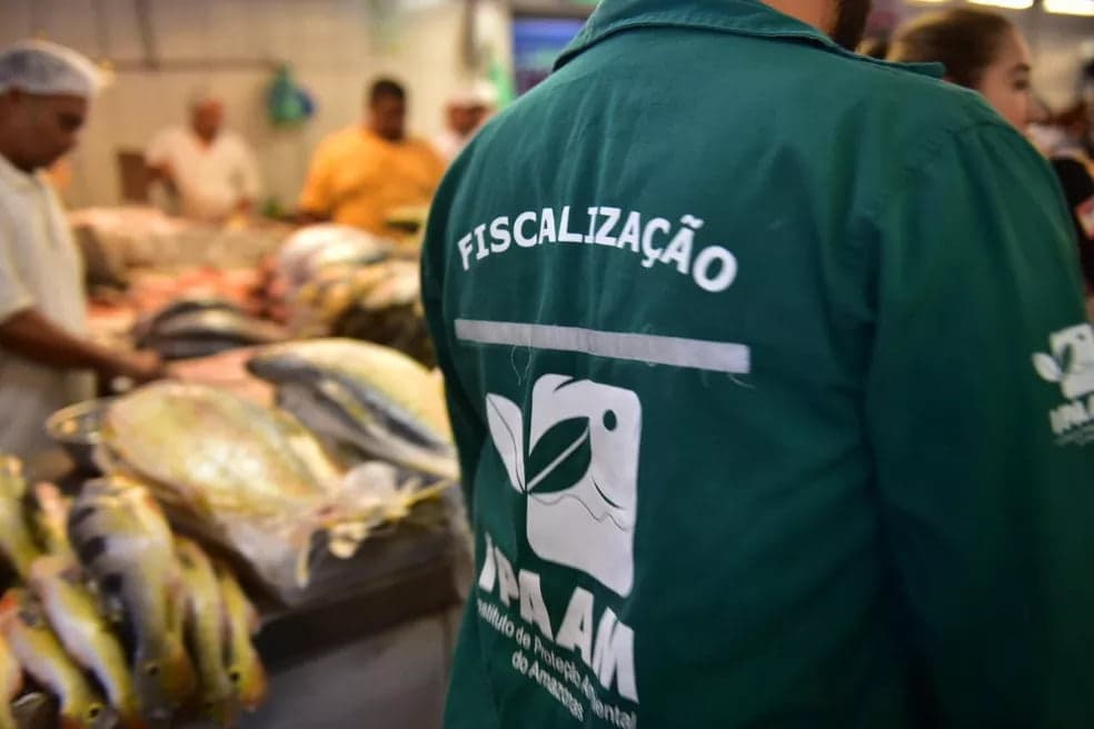 Defeso começa hoje: 8 espécies têm pesca proibida