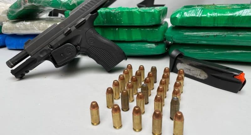 Cocaína avaliada em quase meio milhão de reais é apreendida