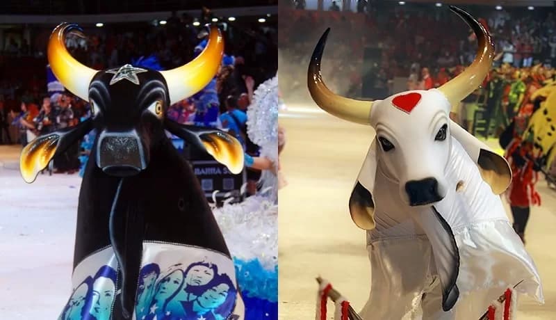 Globo e Rede Amazônica vão transmitir Festival de Parintins 2024