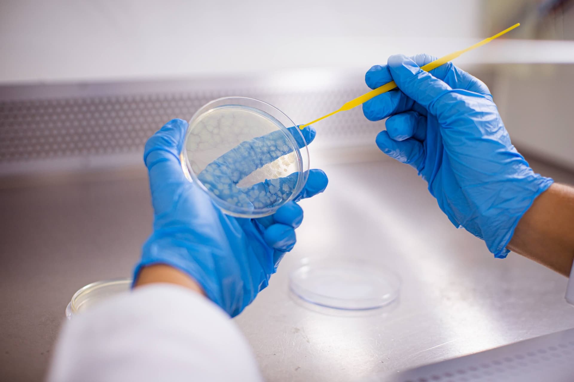 Cinco editais da Fapeam recebem inscrições até esta sexta-feira. Confira