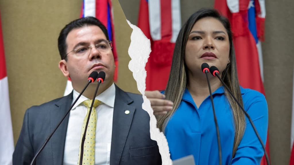 VÍDEO: Caso da capivara gera bate-boca entre deputados Wilker Barreto e Joana Darc