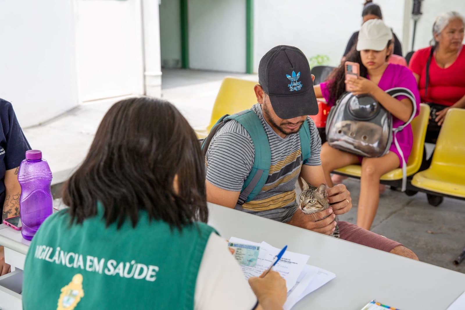 Castração de cães e gatos em Manaus; Saiba quando fazer