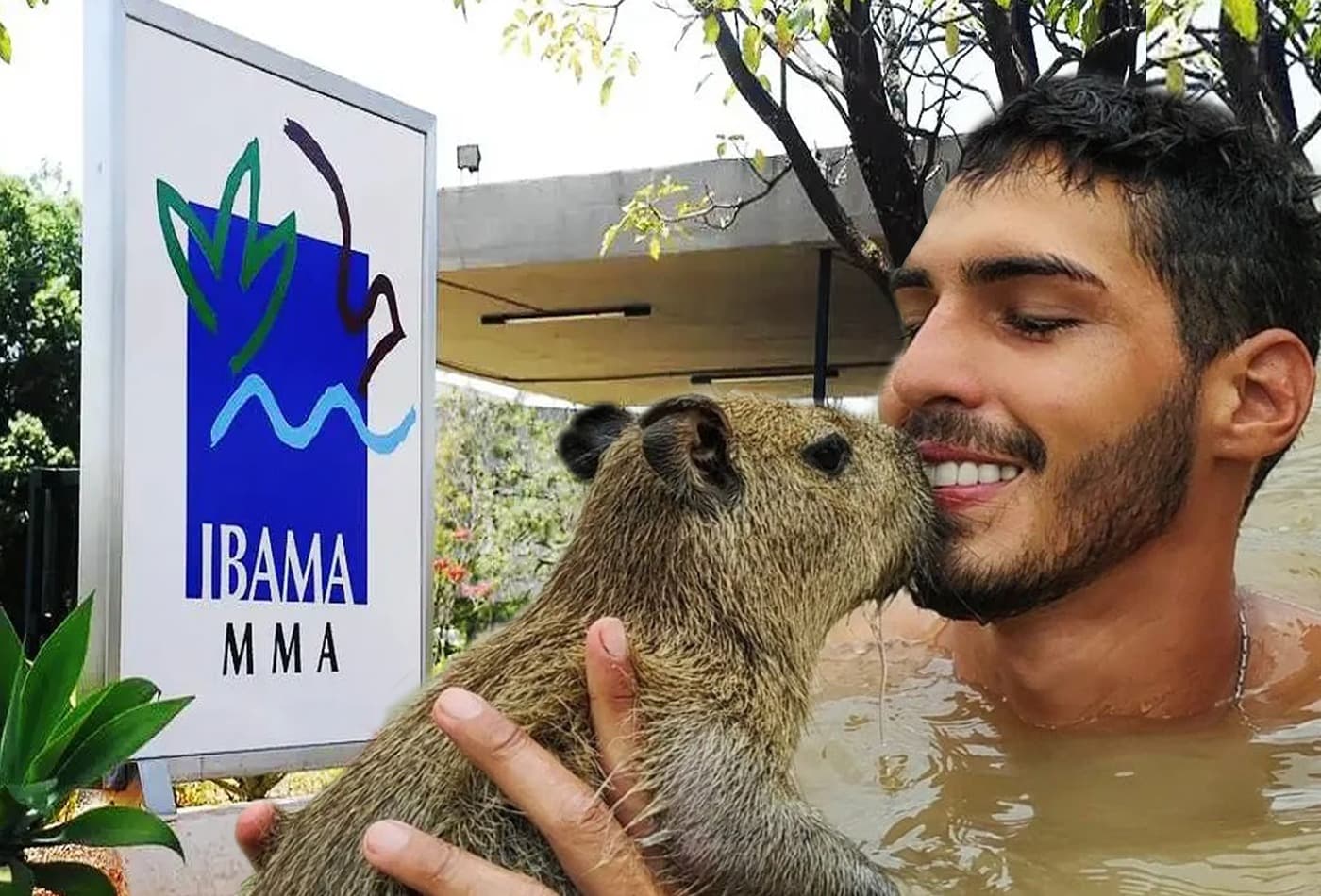 Caso Filó: Ibama ainda pode pedir a guarda da capivara