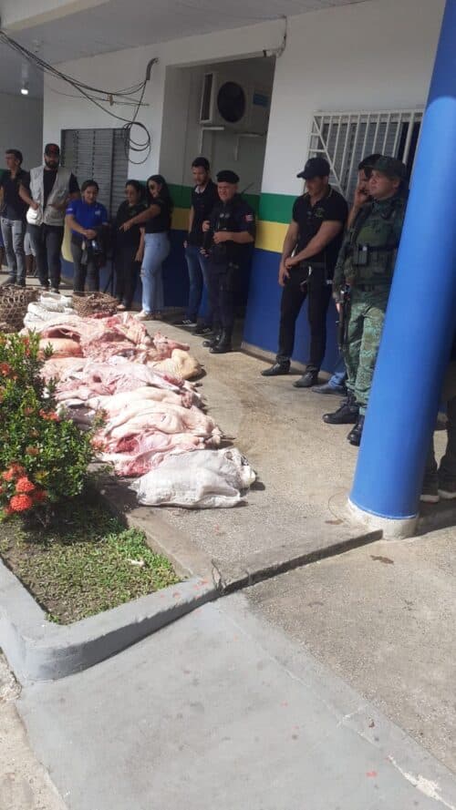 Batalhão ambiental apreende 781 kg de carnes de animais silvestres, em Coari