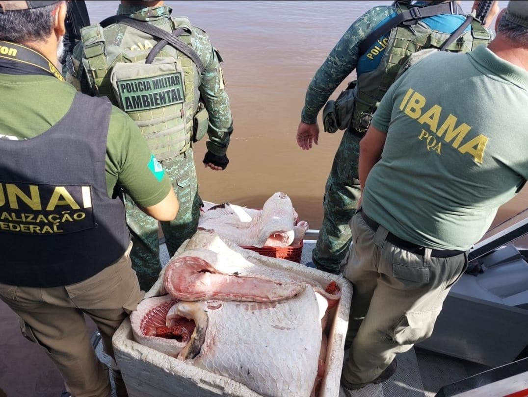 Mais de 600 kg de pescado ilegal é apreendido no AM