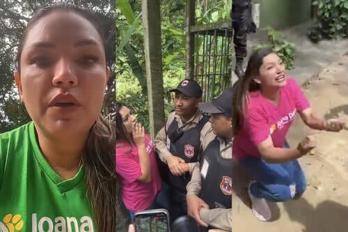 Petição pede investigação de deputada do AM por ataques ao Ibama