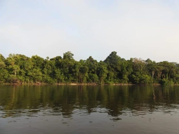 Turista do ES some após bote virar durante pesca esportiva em rio no AM