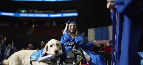 VÍDEO: Cão-guia recebe diploma em cerimônia de formatura nos EUA