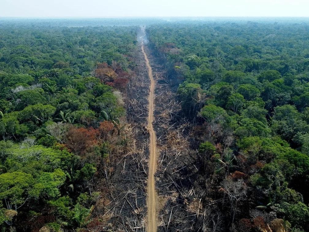 Desmatamento na Amazônia registra queda de 67,9% em abril