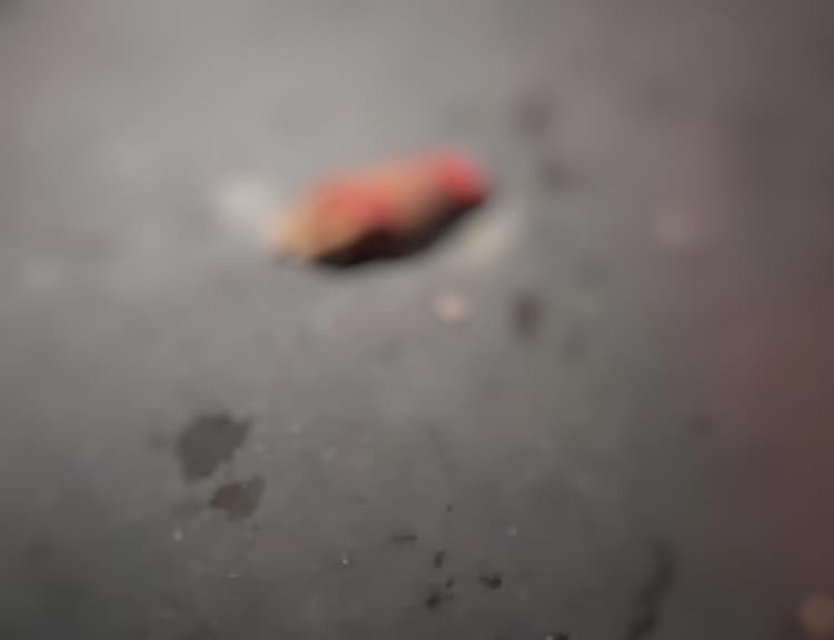 VÍDEO: Homem tem a mão decepada por “tribunal do crime” em Manaus