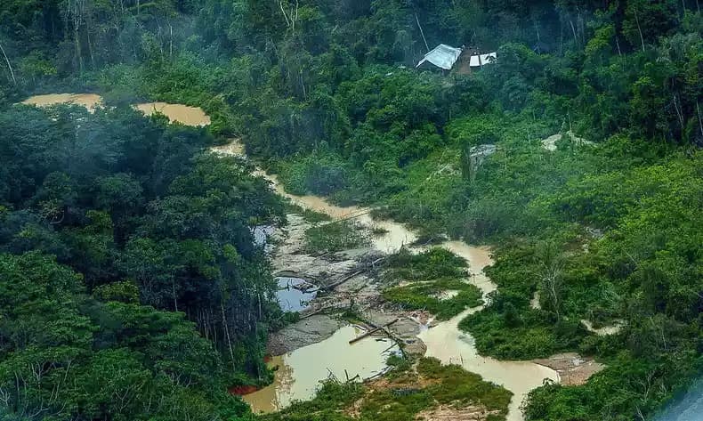 Governo suspende boletim sobre óbitos na Terra Indígena Yanomami
