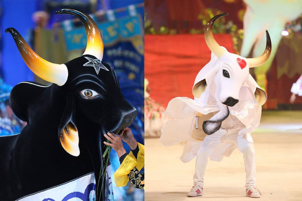 Caprichoso e Garantido fazem acordo e regularizam dívida na Justiça do Trabalho