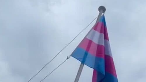 Governo Lula reservará cota para trans em concurso público para auditores