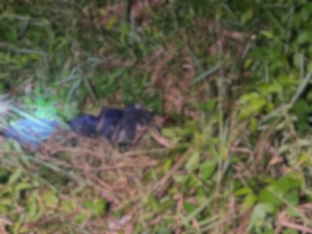 Corpo de homem é encontrado amarrado nas proximidades da Ponte Rio Negro, em Manaus