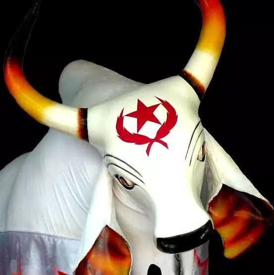 Bois-bumbás de Manaus se apresentam nesta sexta-feira, 28