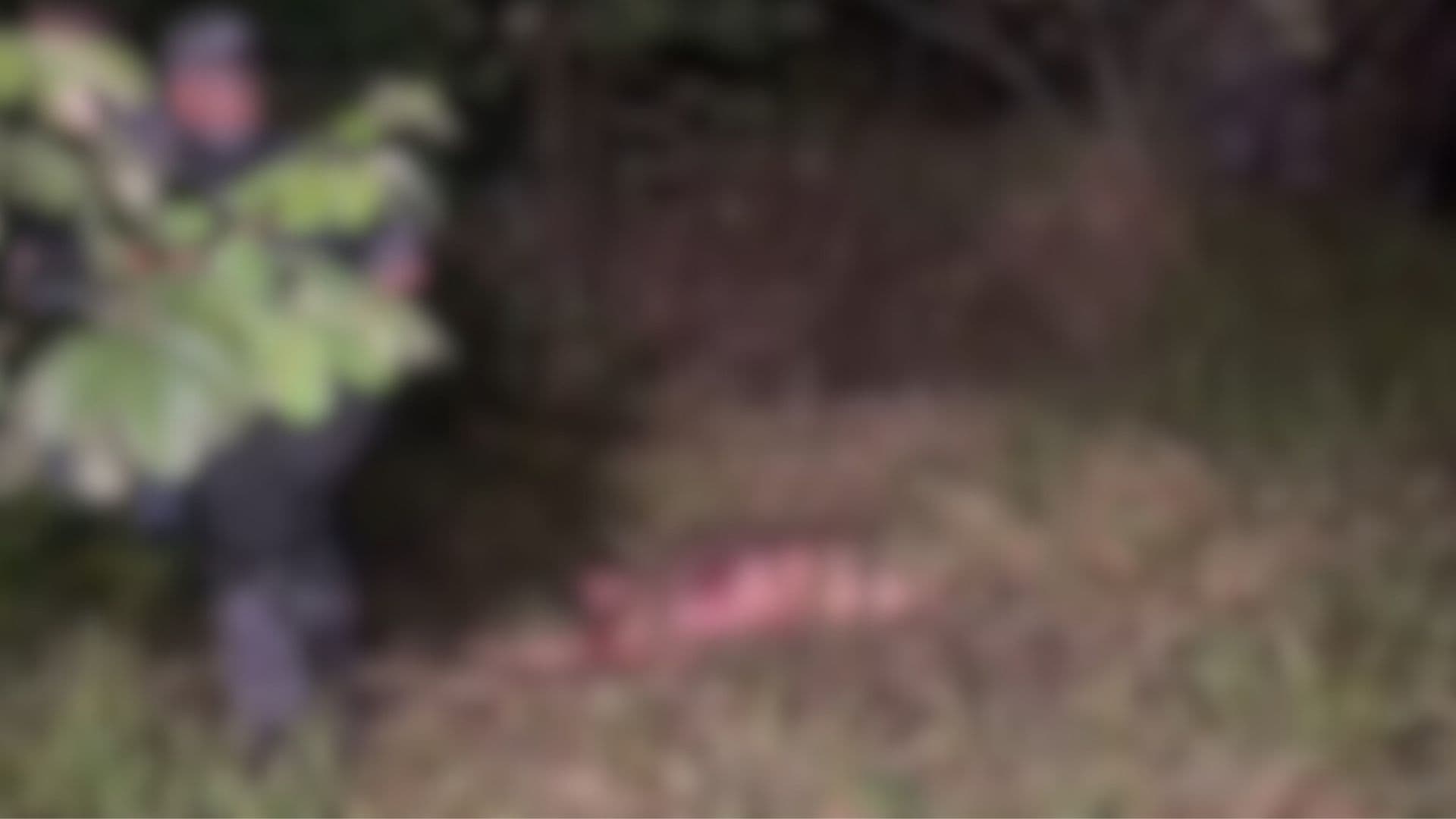 VÍDEO: Corpo de homem é encontrado com orelha arrancada e diversas marcas de tiro, em Manaus