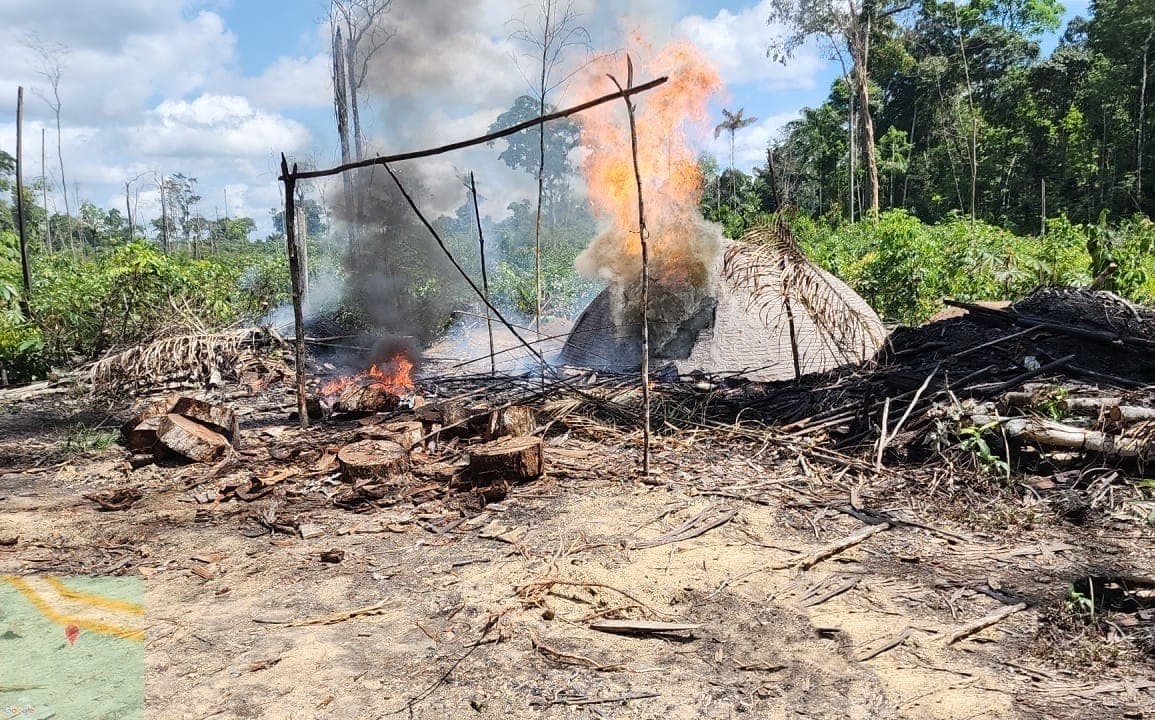 Com ajuda de satélite, fornos ilegais de carvão são identificados e destruídos no AM