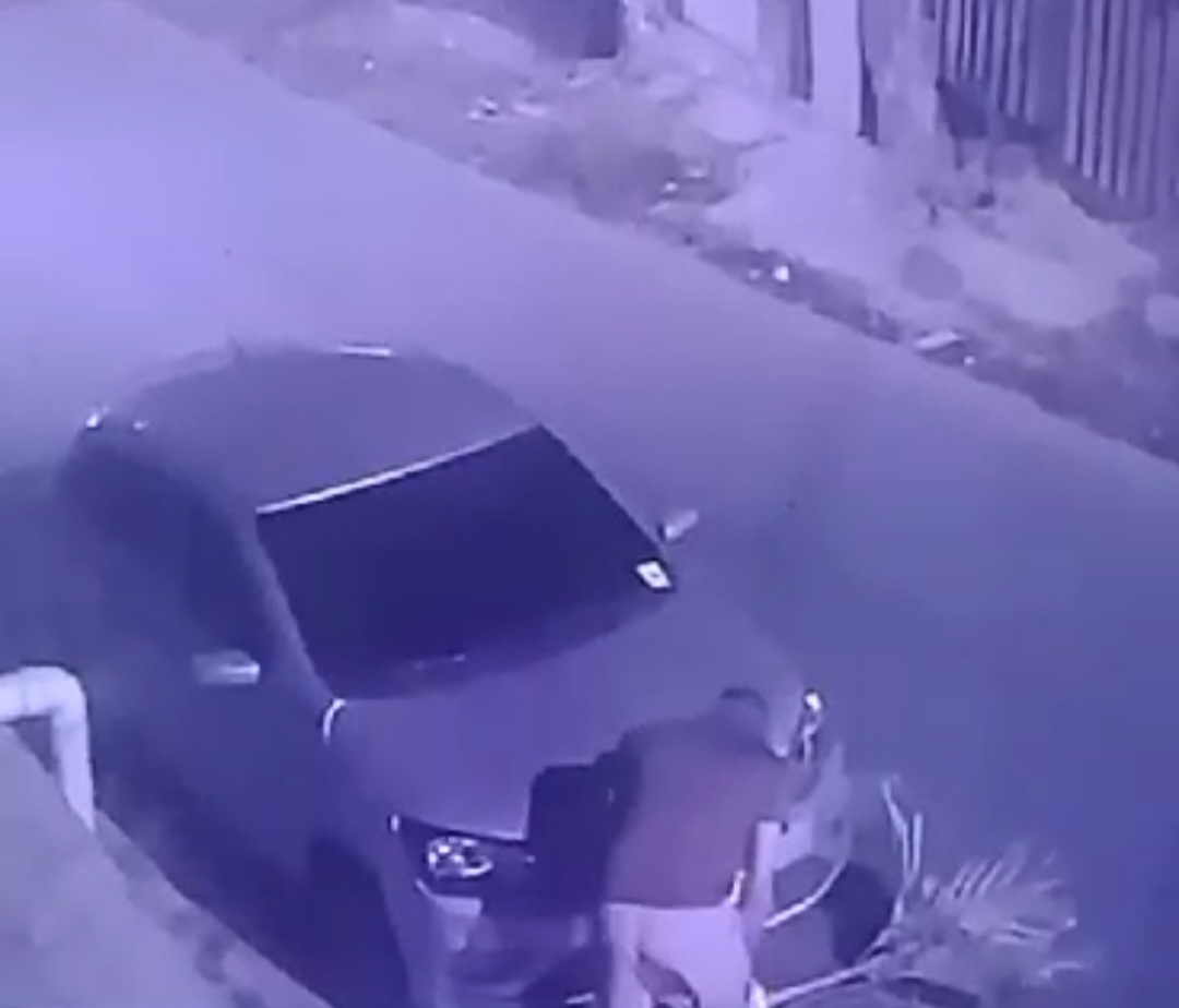 Ladrão vegano: homem é flagrado roubando planta de casa no bairro Flores