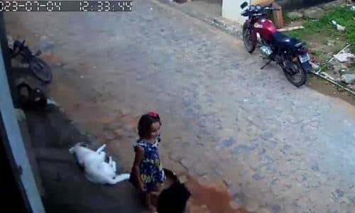 VÍDEO: Após sair para brincar, menina de 8 anos desaparece