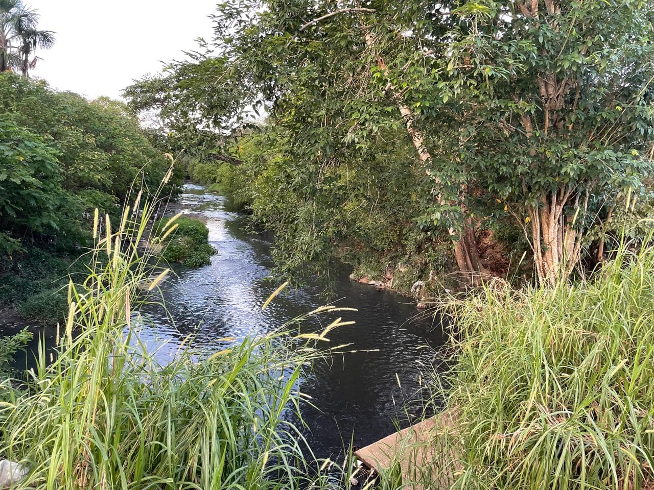 VÍDEO: Com uma corda no pescoço, corpo é encontrado em igarapé de Manaus