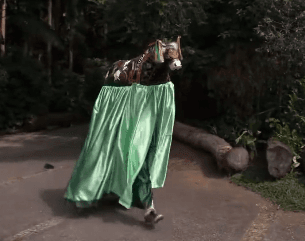 VÍDEO: Band confunde Boi-Bumbá com Bumba Meu Boi no Masterchef e cena viraliza