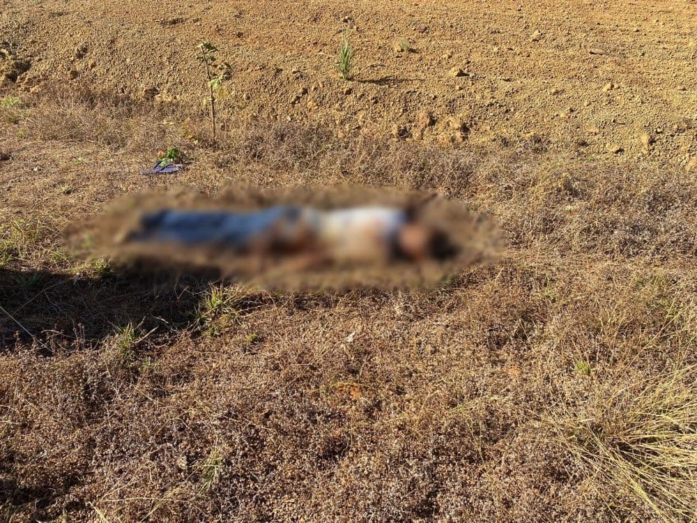 Latrocínio: Motorista por aplicativo é assassinado em Palmas