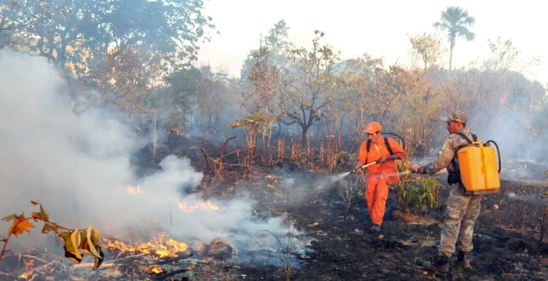 Período crítico de seca: 121 municípios do TO aderem à política de formação de brigadas