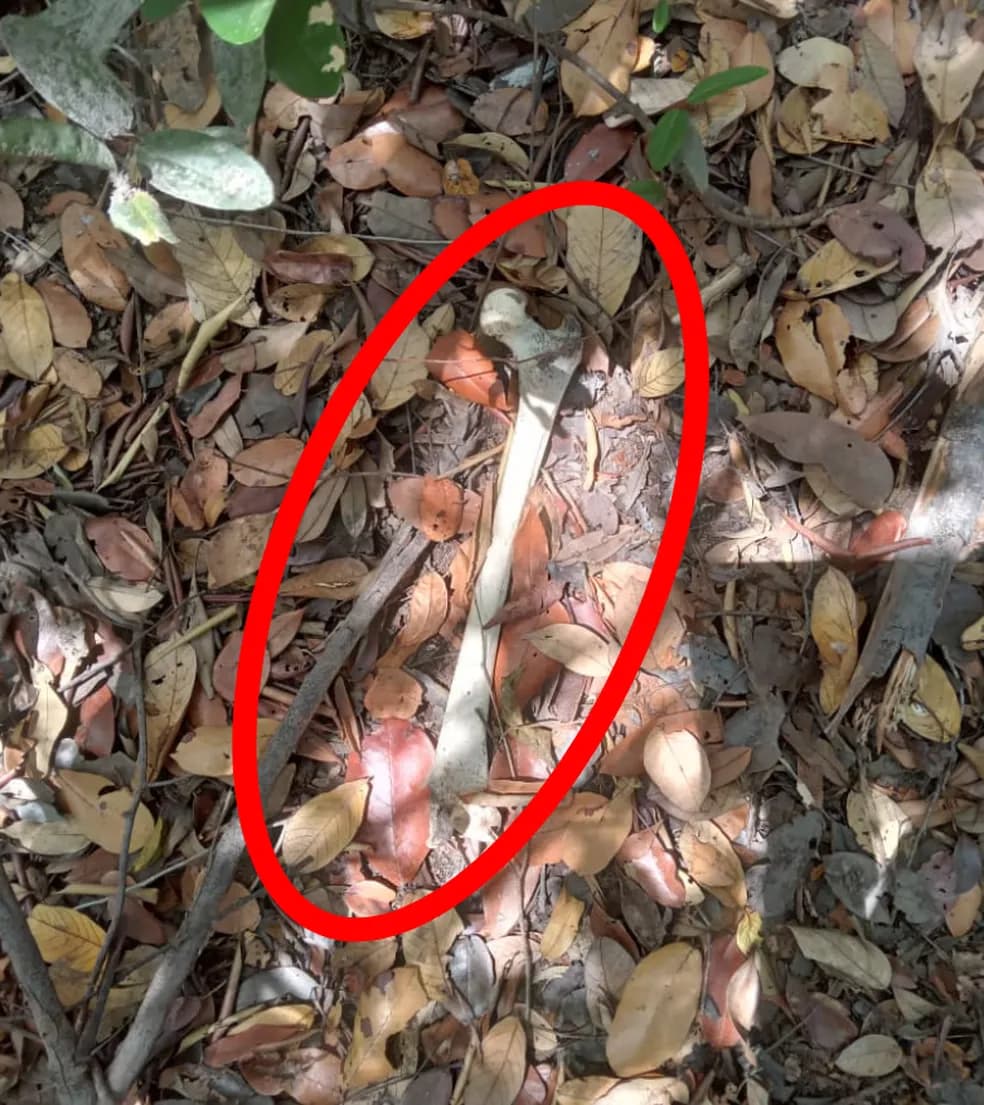 Polícia Civil recolhe ossada humana encontrada por indígenas no interior do Tocantins