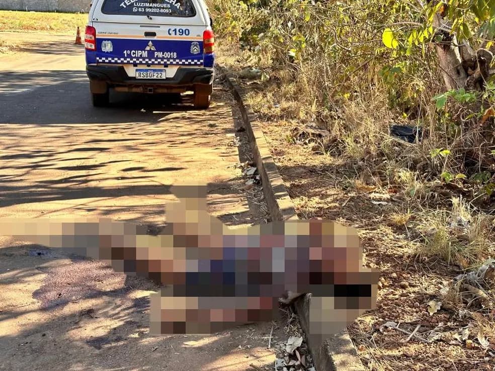 Adolescente suspeito de ajudar a esfaquear e matar jovem é apreendido, no TO