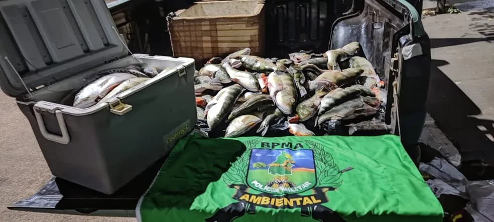 Polícia Ambiental apreende quase 100 kg de peixes na Ilha do Bananal, no TO