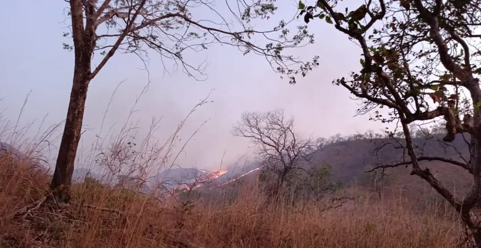 Incêndio florestal é controlado após três dias de força-tarefa em Serras, no sul do Tocantins