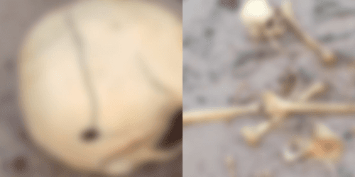 VÍDEO: Esqueleto humano é encontrado próximo à balsa amarela, em Manaus