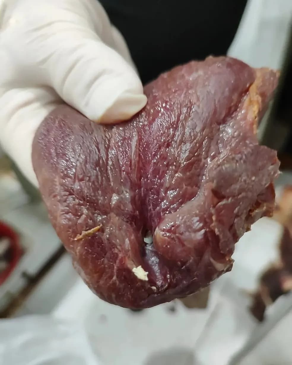 Carnes podres e com larvas são apreendidas em açougue de Guaraí