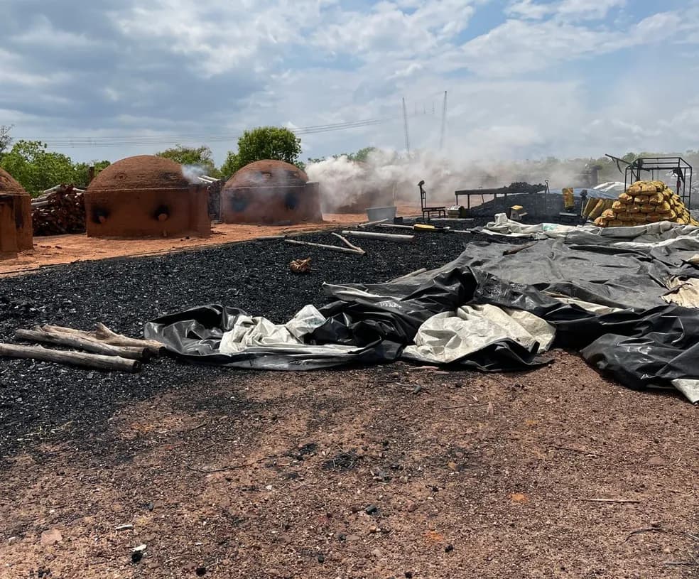 Trabalhadores de carvoaria são resgatados em condições análogas à escravidão no Tocantins