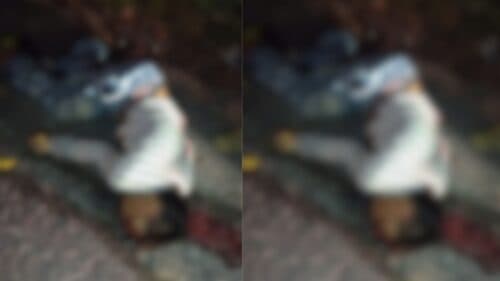 VÍDEO: Adolescente é surpreendido e executado no meio da rua, em Manaus