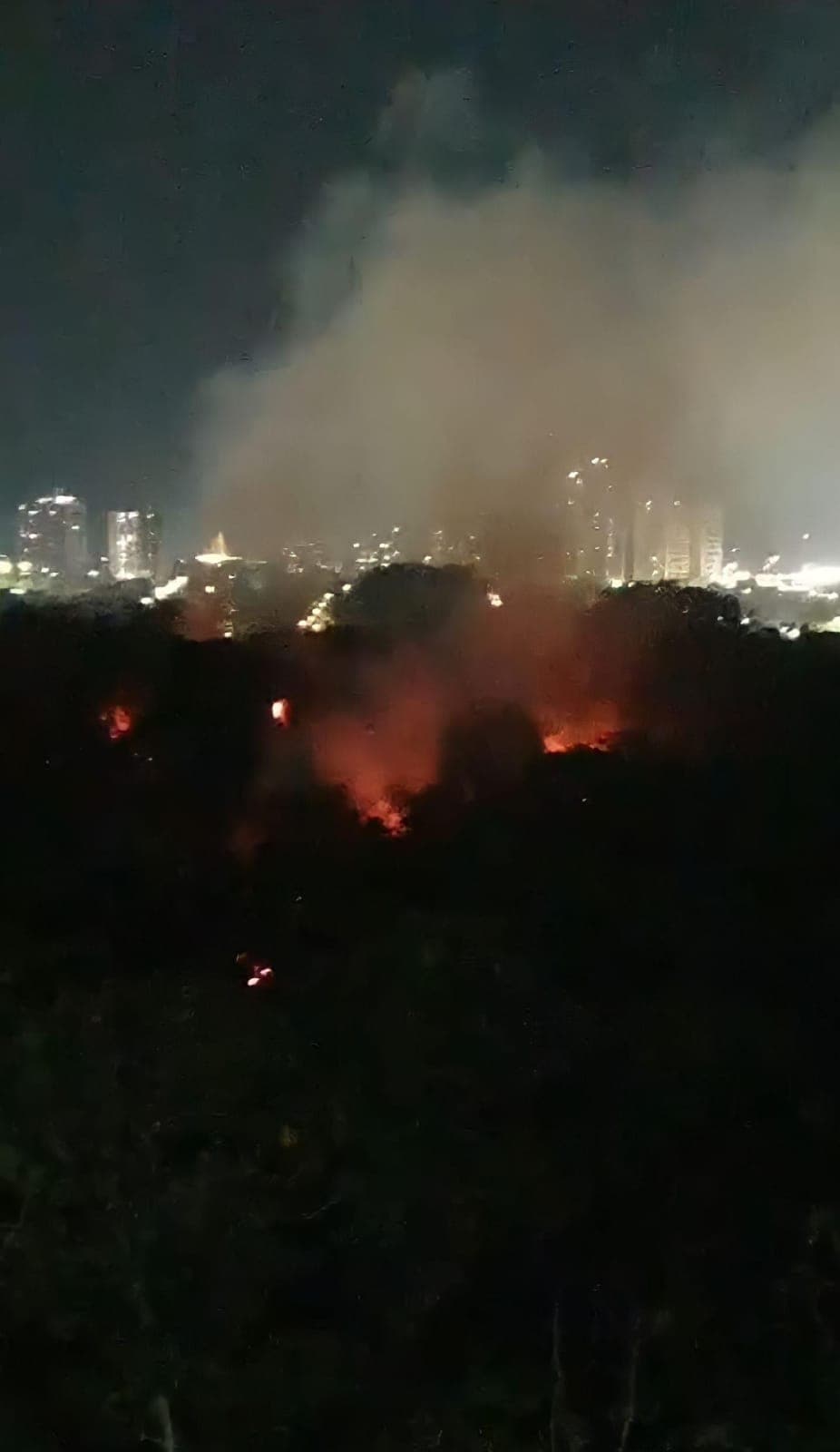 Secretaria de Meio Ambiente investiga causas de incêndio no Dom Pedro, em Manaus