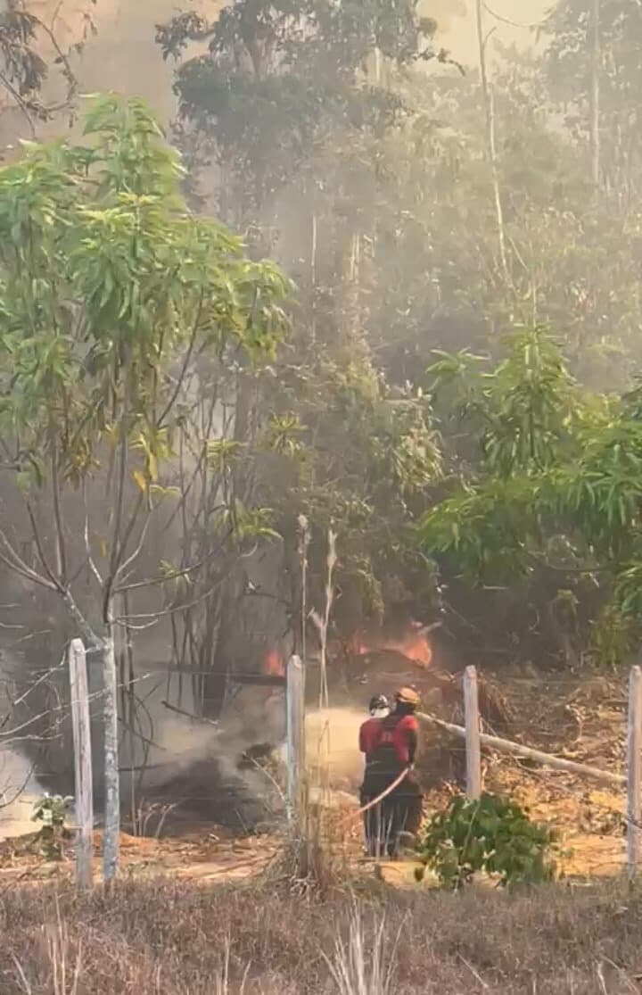 Ramal de Iranduba sofre com queimadas em área de mata