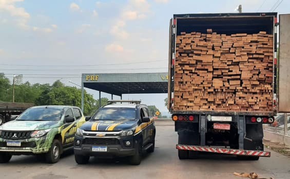 Operação do Naturatins apreende mais de 146 metros cúbicos de madeira