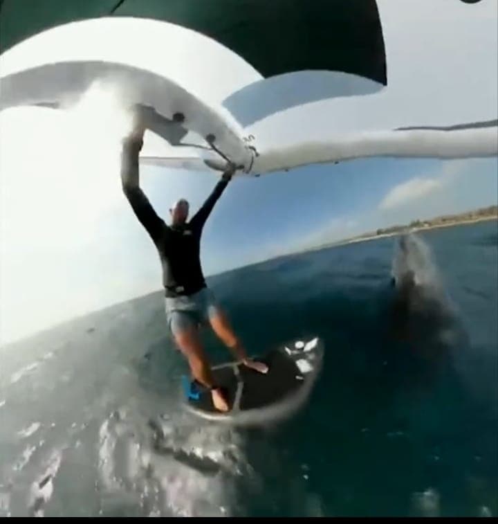 VÍDEO ASSUSTADOR: Surfista é ‘atropelado’ por baleia jubarte e arrastado enquanto praticava kitesurf