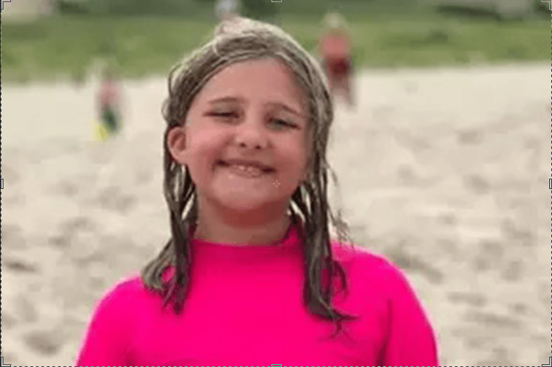 Polícia encontra menina sequestrada em parque; suspeito de pedofilia é preso