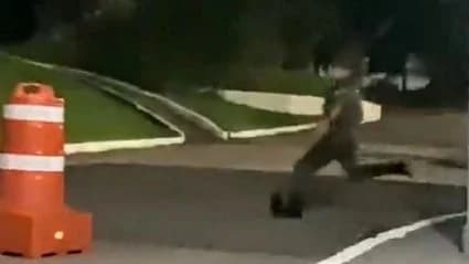 VÍDEO: Militar do exército chuta filhote de tamanduá em quartel e causa revolta na web